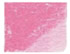 Conte Pastel Pencil 011 Pink