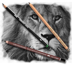 Pencils4artists Colour Compare Set of 12 Greys